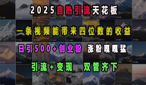 2025自热引流天花板,一条视频能带来四位数的收益,引流+变现双管齐下,日引500+创业粉,涨粉嘎嘎猛-开心分享网