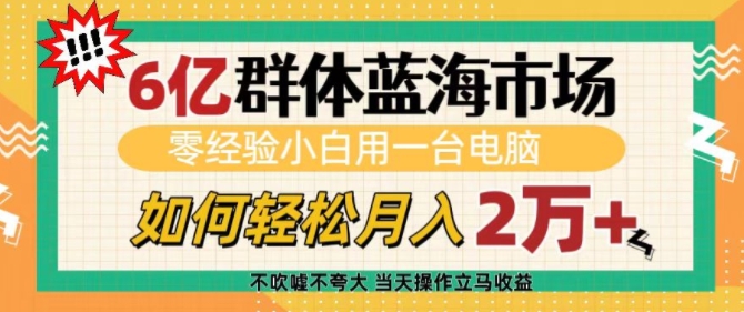 6亿群体蓝海市场,零经验小白用一台电脑,如何轻松月入过w【揭秘】-开心分享网