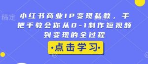 小红书商业IP变现私教,手把手教会你从0-1制作短视频到变现的全过程-开心分享网