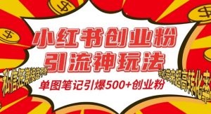 小红书创业粉引流神玩法,单图笔记引爆500+精准创业粉丝,私信狂潮接连不断-开心分享网
