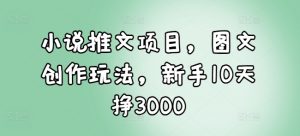 小说推文项目，图文创作玩法，新手10天挣3000-开心分享网