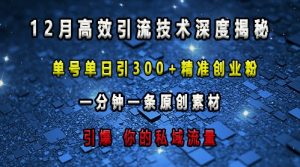 最新高效引流技术深度揭秘 ,单号单日引300+精准创业粉,一分钟一条原创素材,引爆你的私域流量-开心分享网