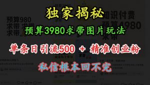预算3980求带 图片玩法,单条日引流500+精准创业粉,私信根本回不完-开心分享网