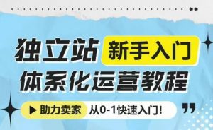 独立站新手入门体系化运营教程,助力独立站卖家从0-1快速入门!-开心分享网