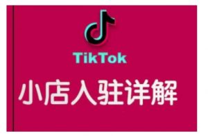 TikTok跨境小店运营全攻略,帮助你独立运营TK跨境小店的能力,实现销量增长-开心分享网