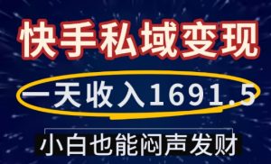 一天收入1691.5,快手私域变现,小白也能闷声发财-开心分享网