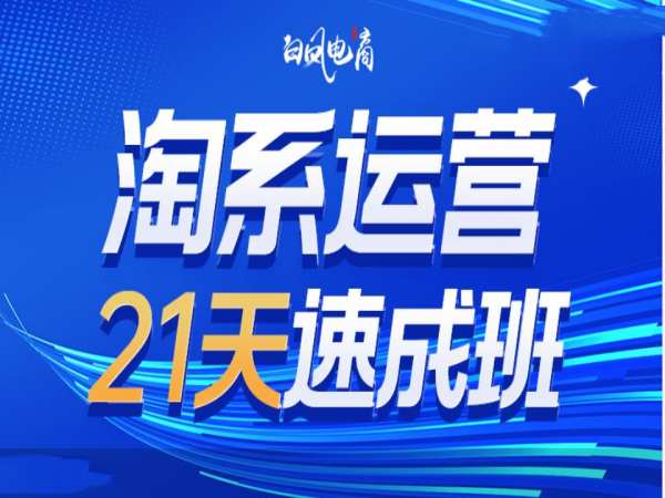淘系运营21天速成班35期,年前最后一波和2025方向-开心分享网