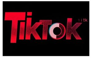 TikTok ads投流秘籍,涵盖tiktok整体投放思路,教你搭建测试计划-开心分享网