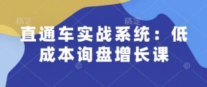 直通车实战系统：低成本询盘增长课，让个人通过技能实现升职加薪，让企业低成本获客，订单源源不断-开心分享网