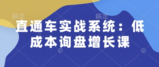 直通车实战系统：低成本询盘增长课，让个人通过技能实现升职加薪，让企业低成本获客，订单源源不断-开心分享网