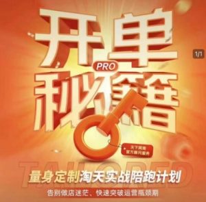 淘宝开单秘籍PRO，量身定制淘天实战陪跑计划，告别做店迷茫、快速突破运营瓶颈期-开心分享网