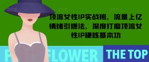 顶流女性IP实战班,流量上亿情绪引爆法,深度打磨顶流女性IP硬核基本功-开心分享网