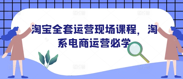 淘宝全套运营现场课程，淘系电商运营必学-开心分享网