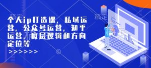 个人ip打造课,私域运营,公众号运营,知乎运营,底层逻辑和方向定位等-开心分享网