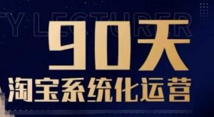 90天淘宝系统化运营,从入门到精通-开心分享网