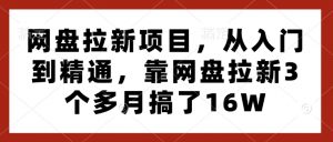 网盘拉新项目，从入门到精通，靠网盘拉新3个多月搞了16W-开心分享网