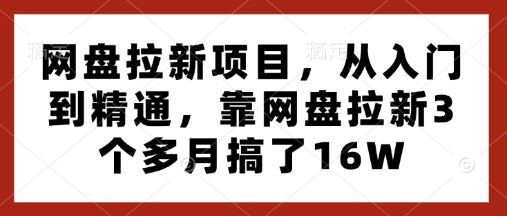 网盘拉新项目，从入门到精通，靠网盘拉新3个多月搞了16W-开心分享网