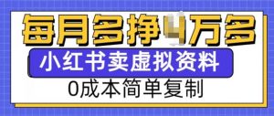小红书虚拟资料项目,0成本简单复制,每个月多挣1W【揭秘】-开心分享网