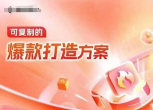 天猫电商爆款运营,可复制的爆款打造方案(线下内训课录音+字幕)-开心分享网
