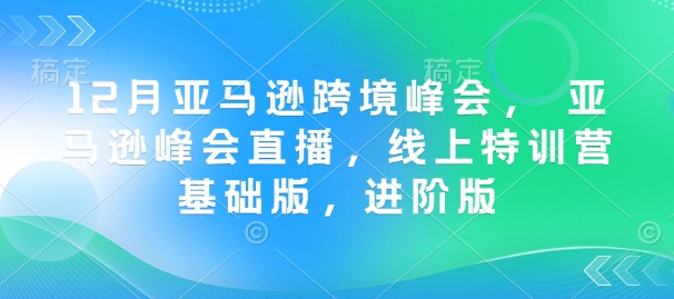 12月亚马逊跨境峰会, 亚马逊峰会直播,线上特训营基础版,进阶版-开心分享网