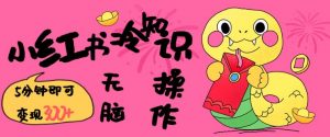 小红书冷知识账号,无脑复制粘贴,5分钟即可变现3张-开心分享网