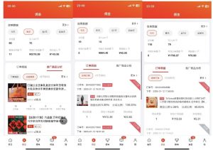 2025最新京东蓝海项目，0 门槛日入 1k+，小白宝妈轻松上手【揭秘】-开心分享网