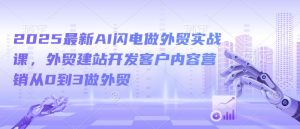 2025最新AI闪电做外贸实战课,外贸建站开发客户内容营销从0到3做外贸-开心分享网
