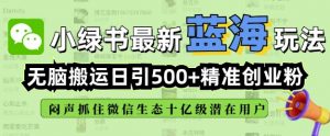 小绿书无脑搬运引流,全自动日引500精准创业粉,微信生态内又一个闷声发财的机会-开心分享网