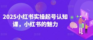 2025小红书实操起号认知课，小红书的魅力-开心分享网