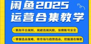 2025闲鱼电商运营全集,2025最新咸鱼玩法-开心分享网