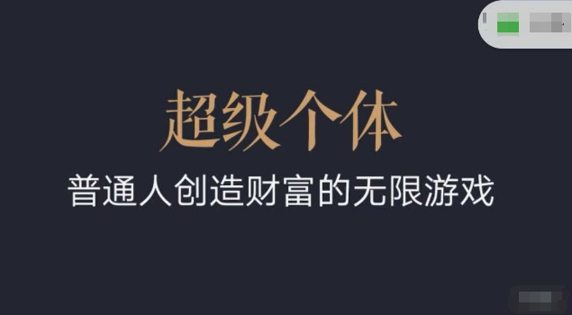超级个体2024-2025翻盘指南,普通人创造财富的无限游戏-开心分享网