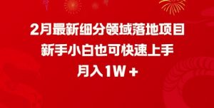 2月最新细分领域落地项目,新手小白也可快速上手,月入1W-开心分享网