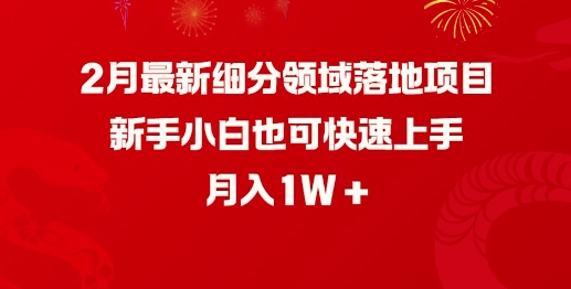 2月最新细分领域落地项目,新手小白也可快速上手,月入1W-开心分享网