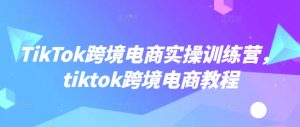 TikTok跨境电商实操训练营,tiktok跨境电商教程-开心分享网