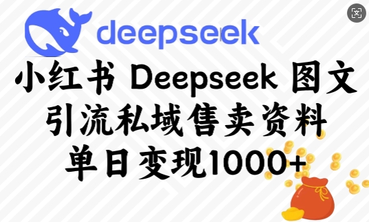 小红书Deepseek图文引流私域售卖资料,单日变现多张-开心分享网