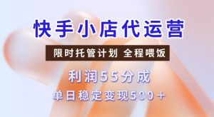 快手小店代运营3.0,模式新升级,收益55分,稳定单日5张【揭秘】-开心分享网