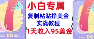 复制粘贴挣美金,0门槛,1天收入95美刀,3分钟学会,内部教程(首次公开)-开心分享网