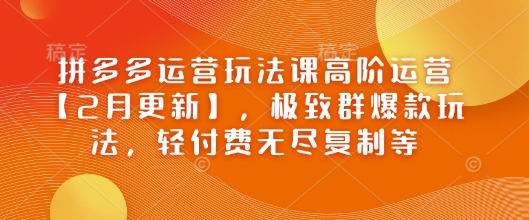 拼多多运营玩法课高阶运营【2月更新】,极致群爆款玩法,轻付费无尽复制等-开心分享网