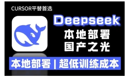 2025年deepseek R1 大型模型本地安装部署(文件+教程)本地部署,超低训练成本-开心分享网