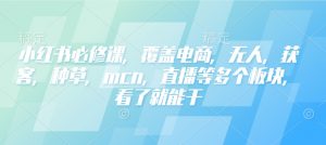 小红书必修课,覆盖电商,无人,获客,种草,mcn,直播等多个板块,看了就能干-开心分享网