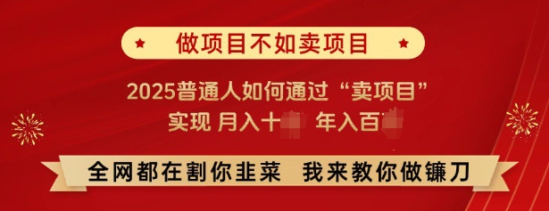 必看,做项目不如卖项目,2025普通人如何通过“卖项目”实现月入十个,年入百个-开心分享网