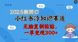 2025新风口,小红书冷知识赛道,无脑复制粘贴,一单变现300+-开心分享网