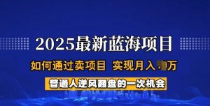 2025蓝海项目,普通人如何通过卖项目,实现月入过W,全过程【揭秘】-开心分享网