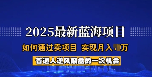 2025蓝海项目,普通人如何通过卖项目,实现月入过W,全过程【揭秘】-开心分享网