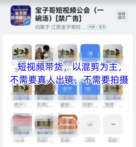 宝子哥头部团队短视频带货，以混剪为主，不需要真人出镜，不需要拍摄【更新11月】-开心分享网