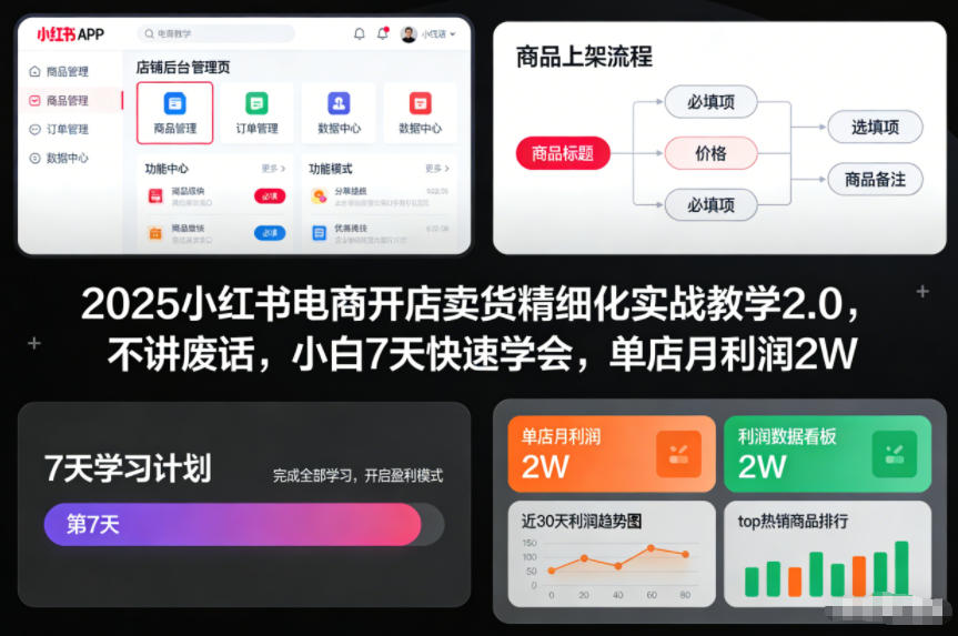 2025小红书电商开店卖货精细化实战教学2.0，不讲废话，小白7天快速学会，单店月利润2W-开心分享网