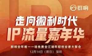 2025ip嘉年华万人12月14深圳线下课,走向微利时代,IP流量嘉年华,实操性极强的商业干货课-开心分享网