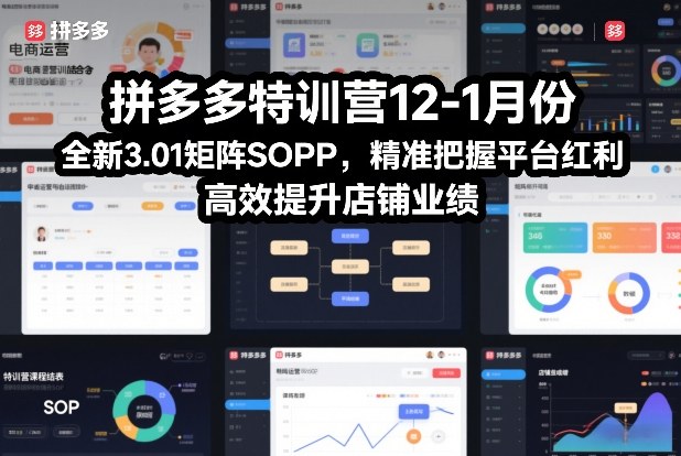 拼多多特训营12-1月份，全新3.01矩阵Sop，精准把握平台红利，高效提升店铺业绩-开心分享网