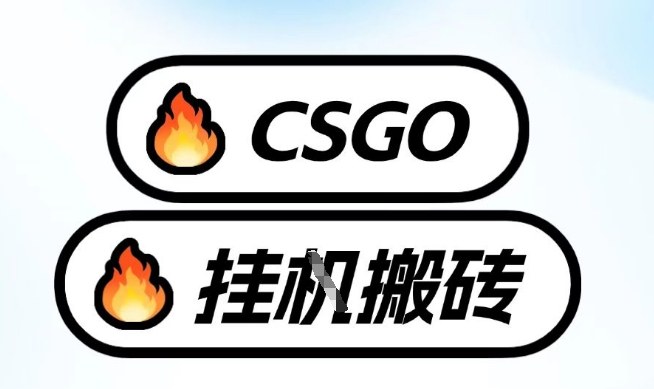 真全网独家CSGO挂G，最新玩法,单日捡漏1K+，不用电脑，不用打游戏【揭秘】-开心分享网