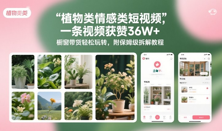 植物类情感类短视频，一条视频获赞36W+，橱窗带货轻松玩转，附保姆级拆解教程-开心分享网
